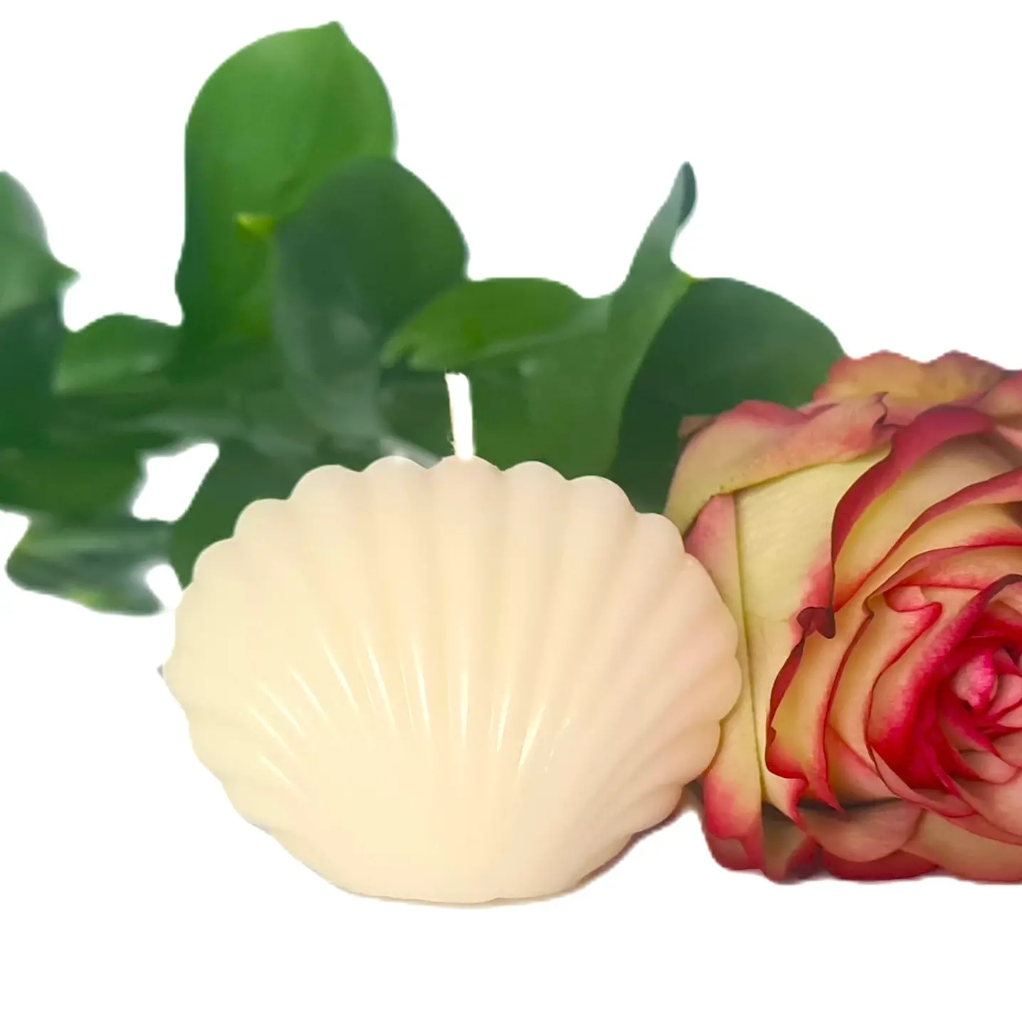 Świeca sojowa Muszelka 0